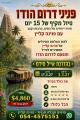 דרום הודו מרץ 27
